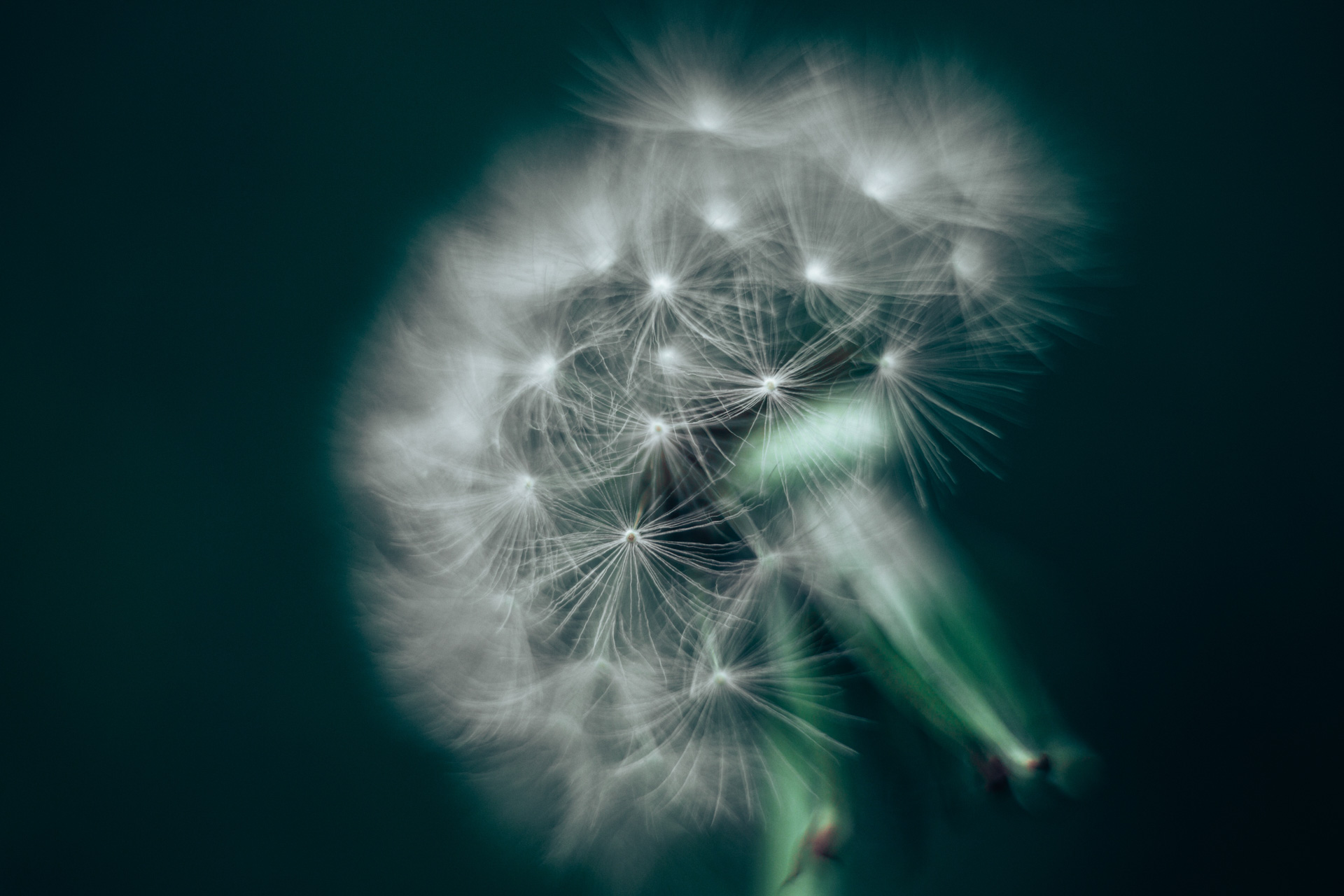 What is the Mind and Body Connection?