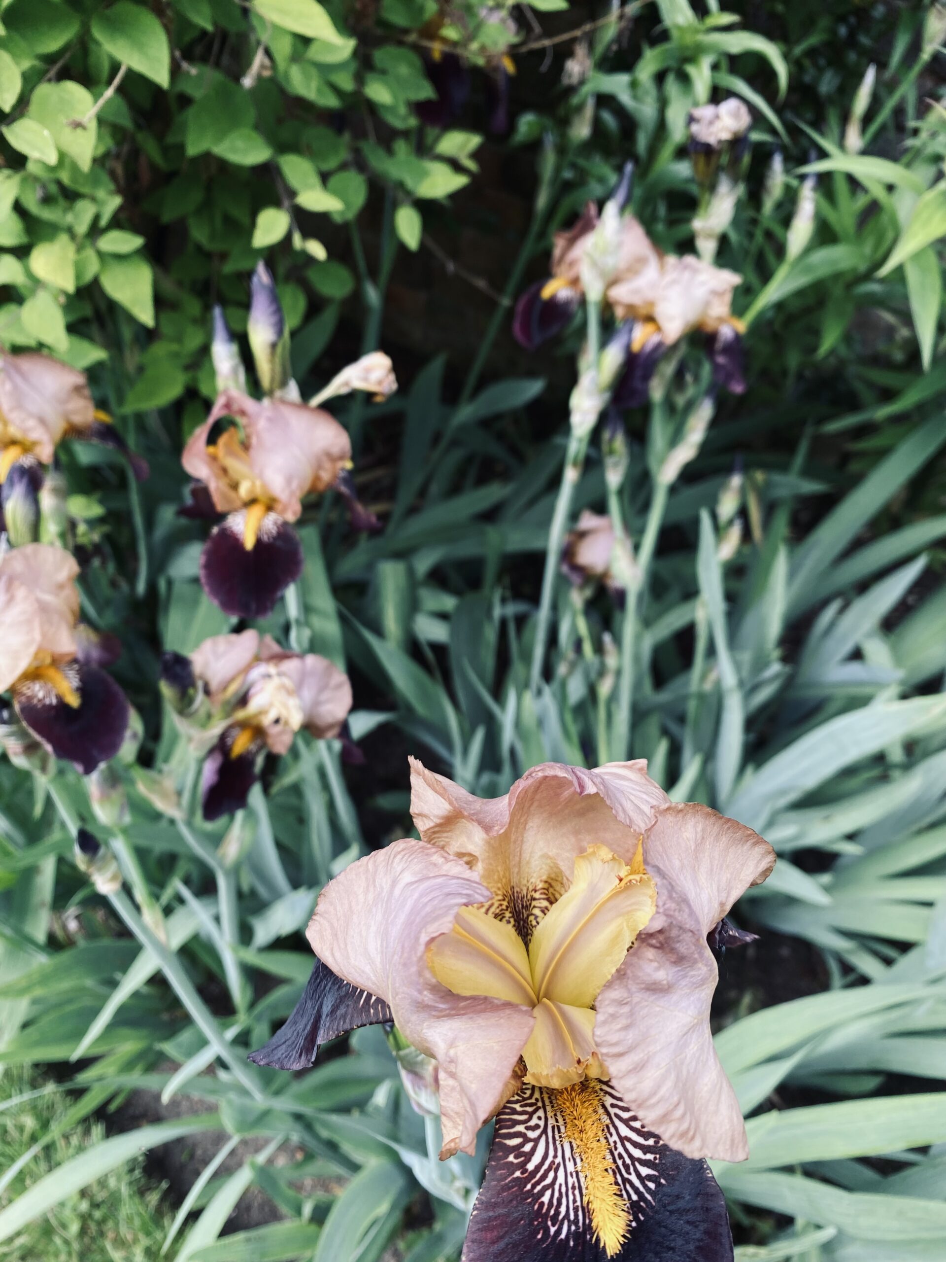 What is the Mind and Body Connection?