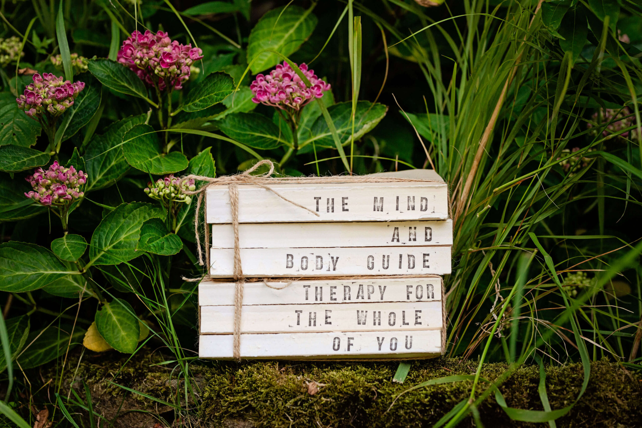 What is the Mind and Body Connection?